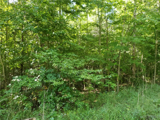 7.55 ACRES AMELIA SPRINGS ROAD, JETERSVILLE, VA 23083 - Image 1