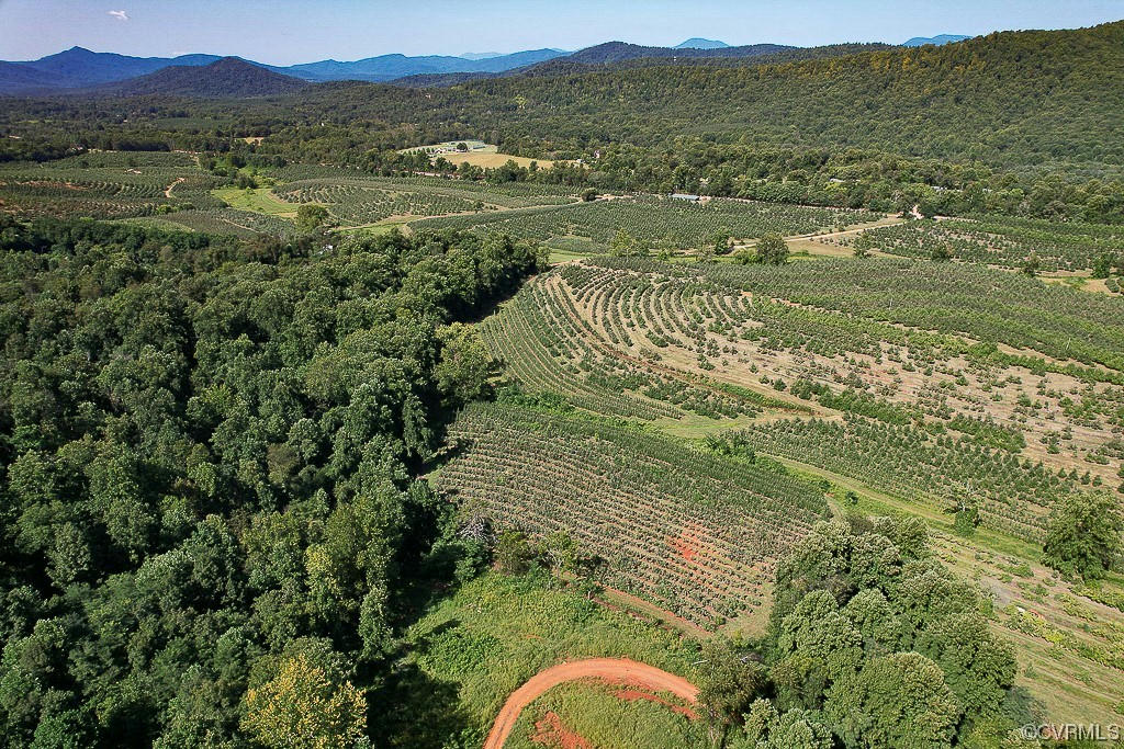 337 ACRES BRUSH MOUNTAIN TRAIL, COVESVILLE, VA 22931, photo 1 of 36